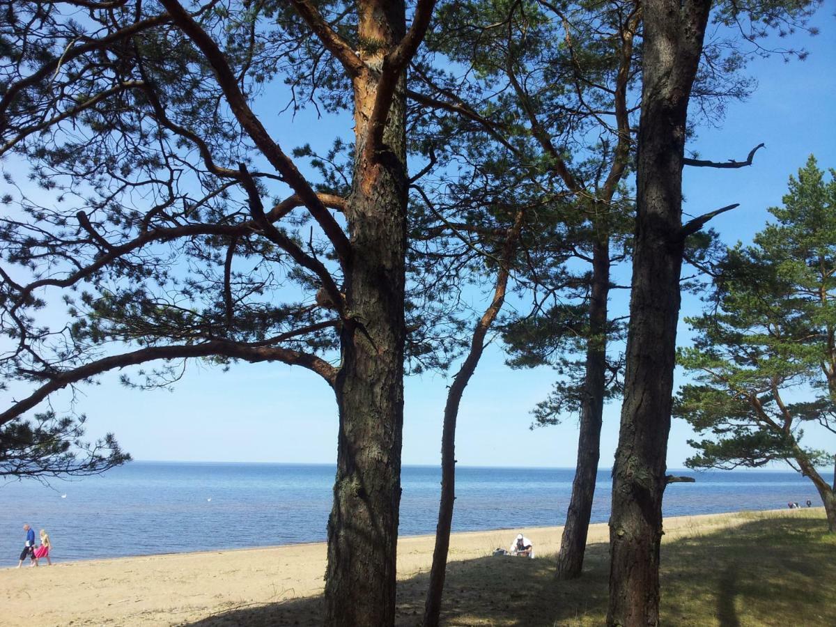 拉脱维亚Apartamenti Strand公寓 外观 照片